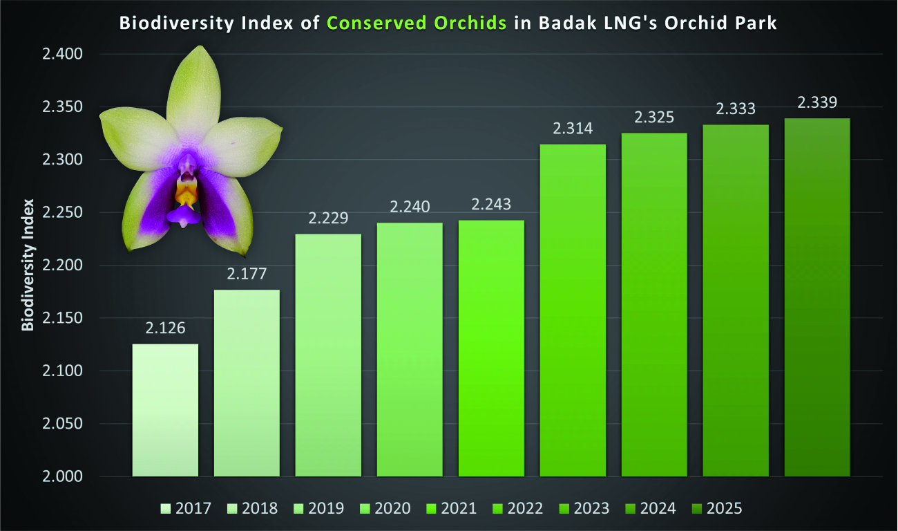 Orchid Collection GC1 2025